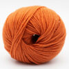 16-burnt-orange