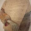 pull melimelo peche laines aquareve